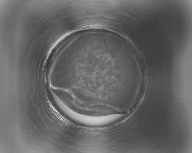 X0000085801118200703301451