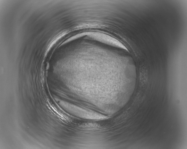 X0000085801119200703301451