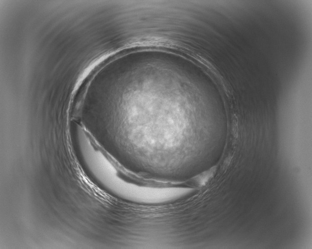 X0000085801120200703301451