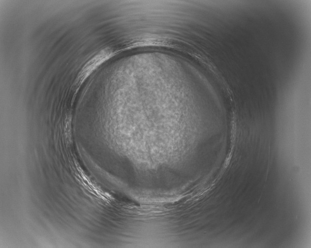 X0000085801121200703301451