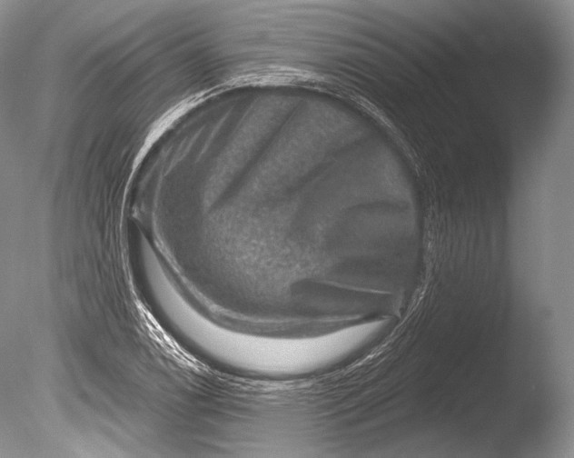 X0000085801122200703301451