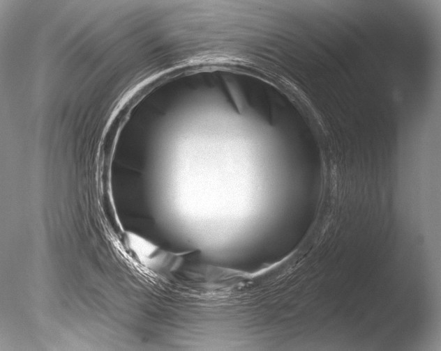 X0000085801124200703301451