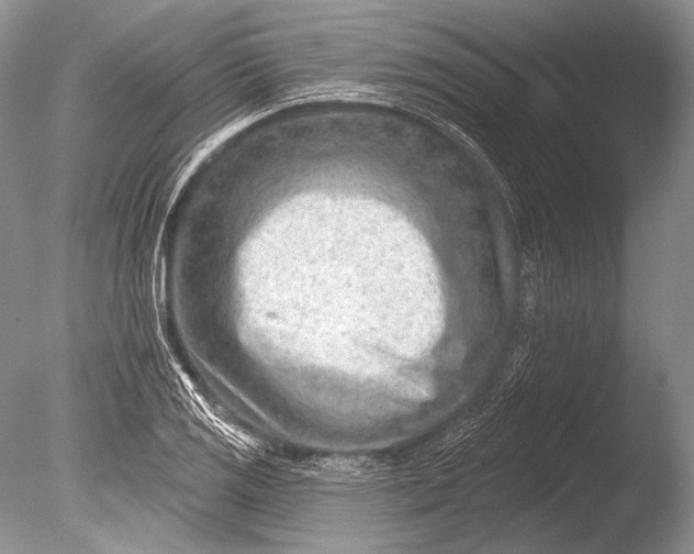 X0000085801125200703301451