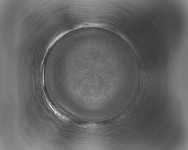 X0000085801127200703301451