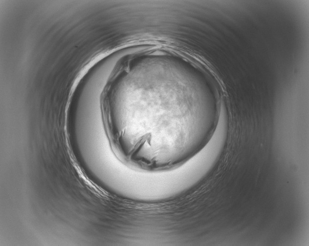 X0000085801128200703301451