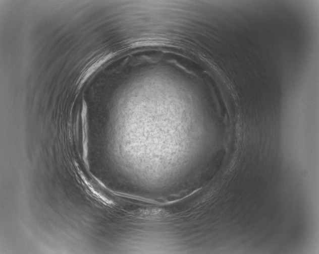 X0000085801129200703301451