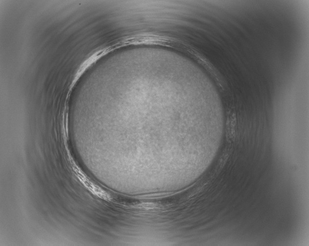 X0000085801130200703301451