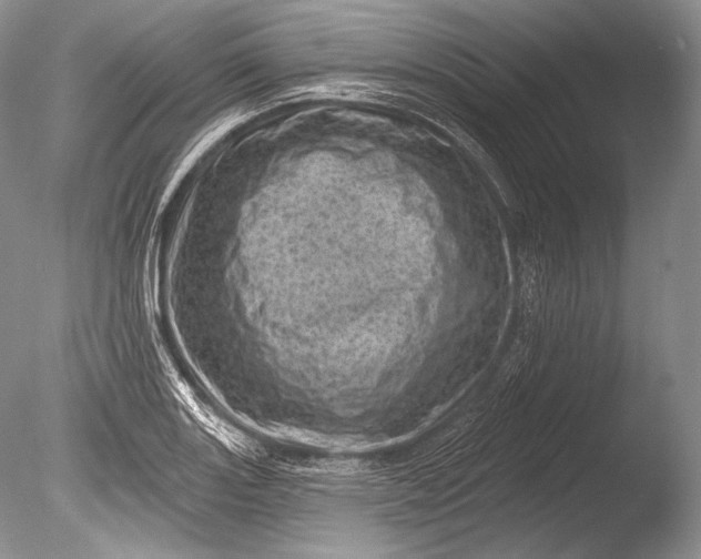 X0000085801131200703301451