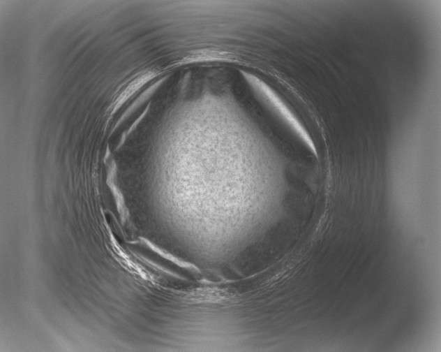 X0000085801137200703301451