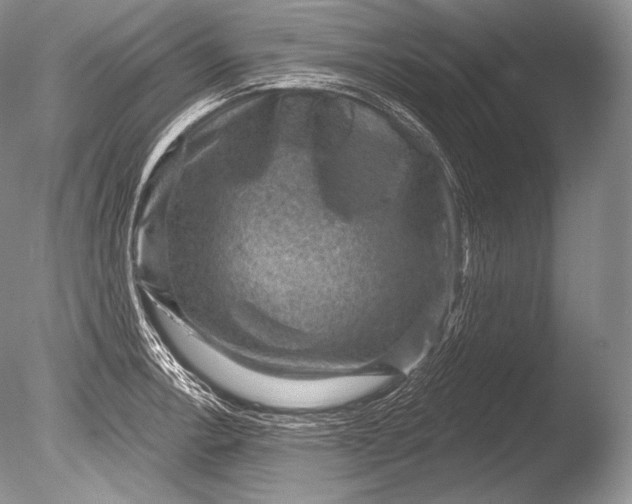 X0000085801138200703301451