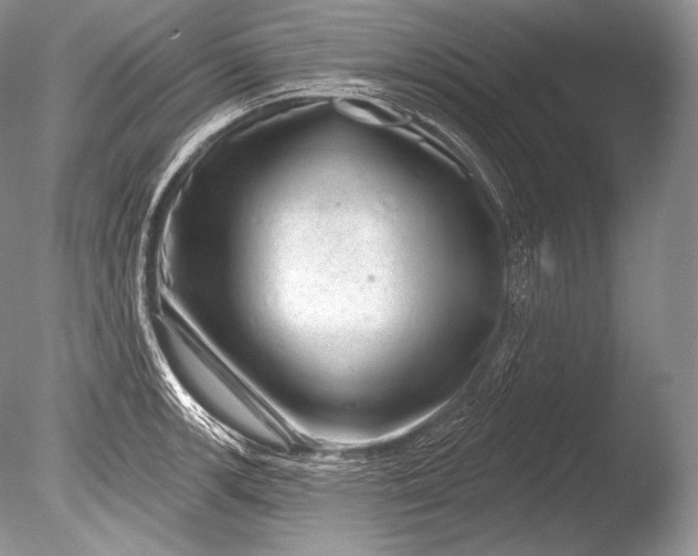 X0000085801139200703301451