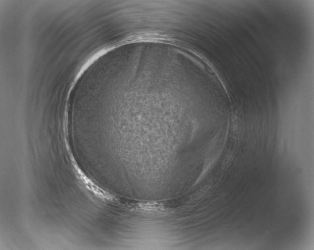 X0000085801147200703301451