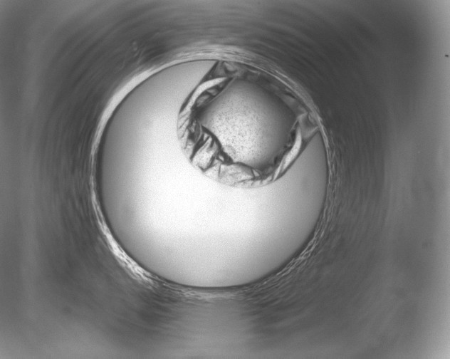 X0000085801152200703301451