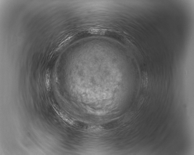 X0000085801154200703301451