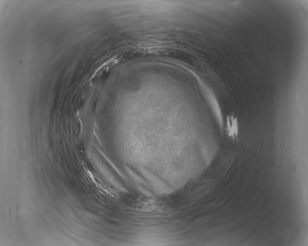 X0000085801155200703301450