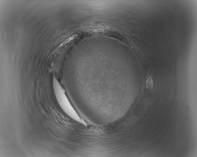 X0000085801156200703301450