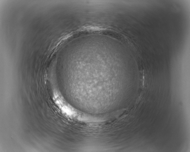 X0000085801157200703301450