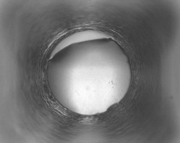 X0000085801160200703301450