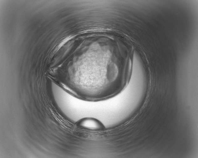 X0000085801161200703301450