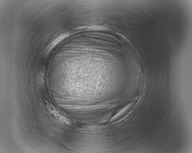 X0000085801163200703301450