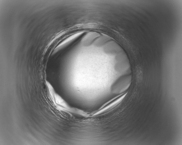 X0000085801166200703301450