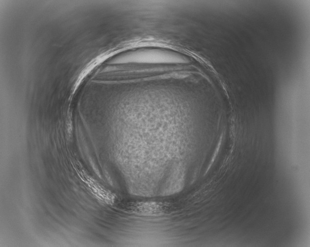 X0000085801167200703301450