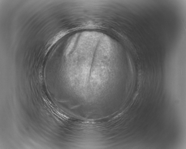 X0000085801170200703301450