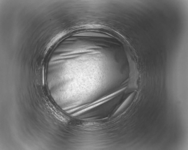 X0000085801171200703301450