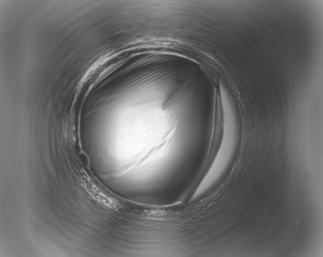 X0000085801172200703301450