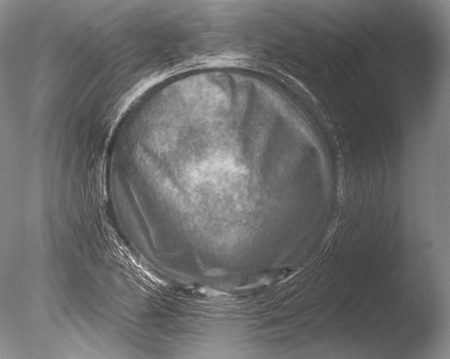 X0000085801174200703301450