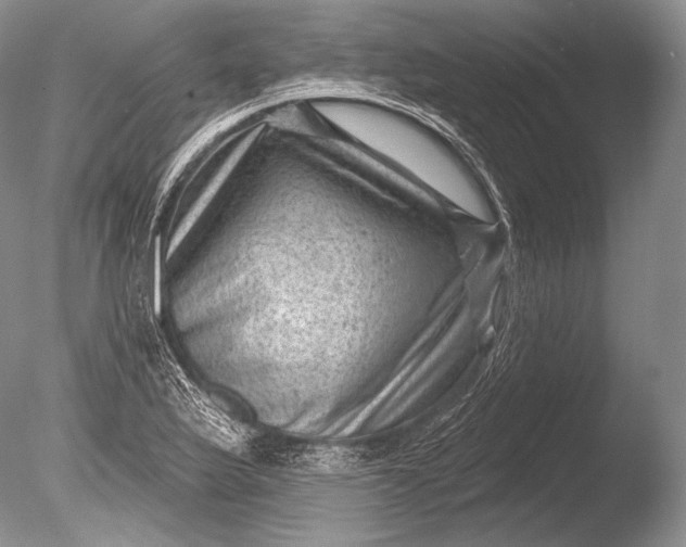 X0000085801175200703301450