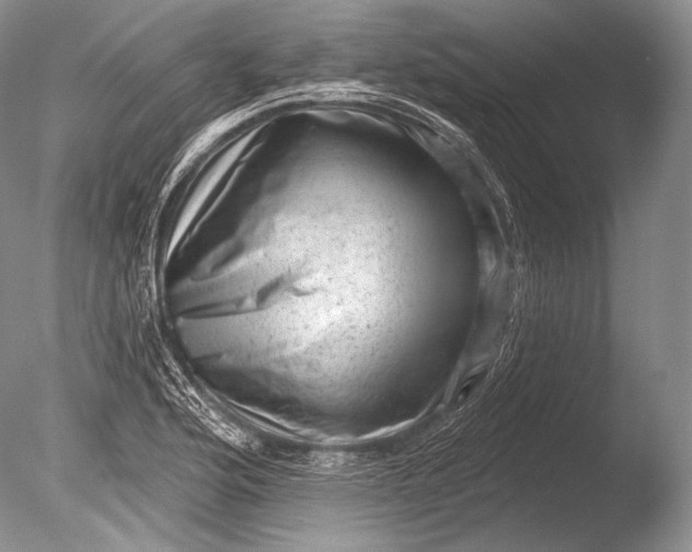 X0000085801176200703301450