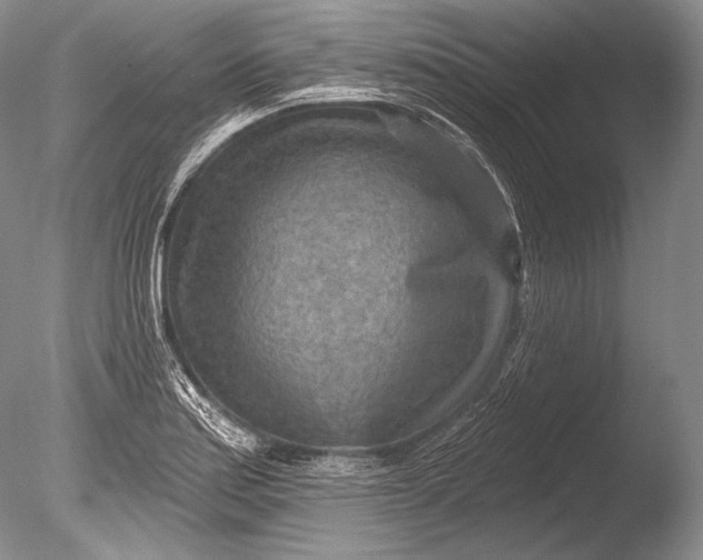 X0000085801179200703301450