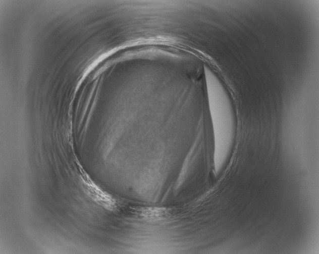 X0000085801184200703301450