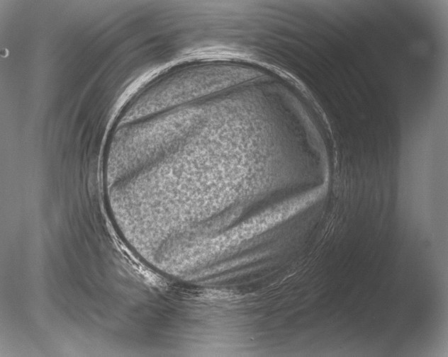 X0000085801191200703301450