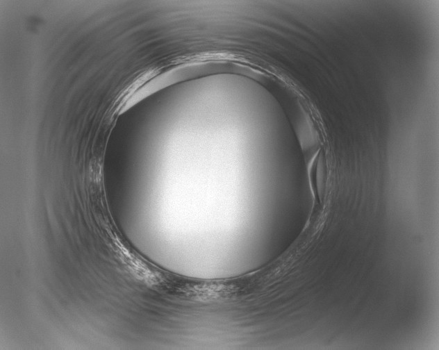 X0000085801193200703301450