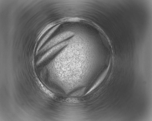 X0000085801194200703301450