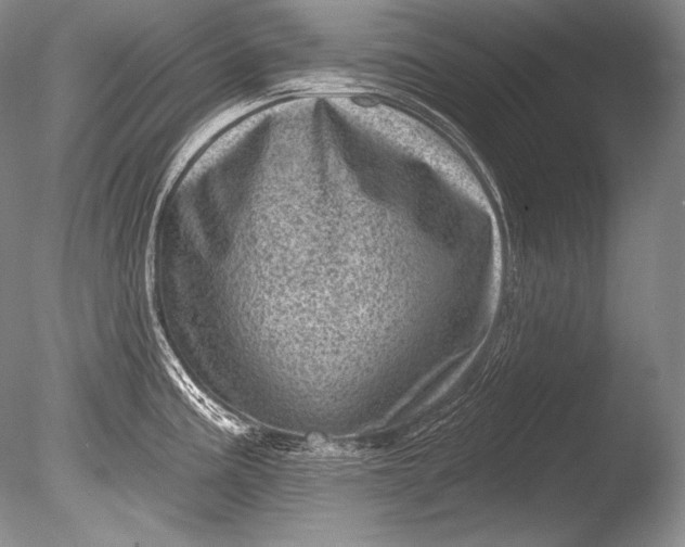 X0000085801195200703301450