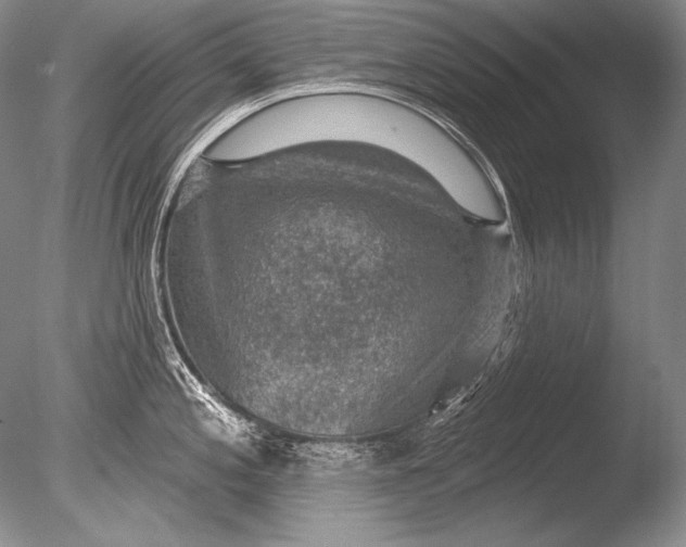 X0000085801197200703301450