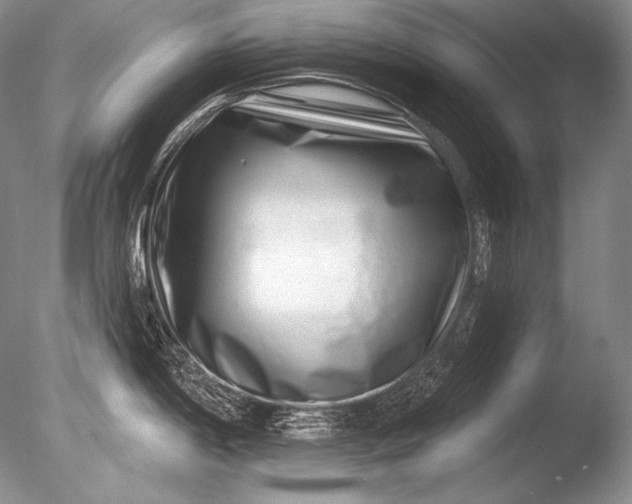 X0000085801198200703301450