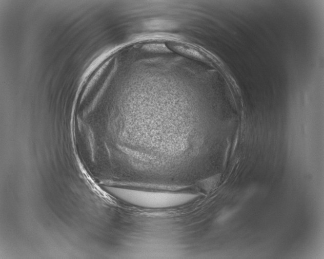 X0000085801199200703301450