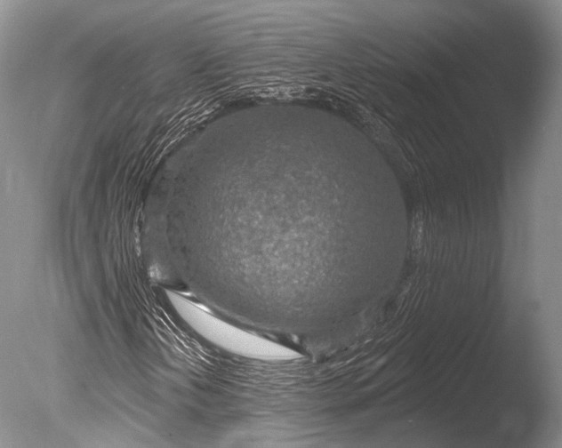 X0000085801202200703301449