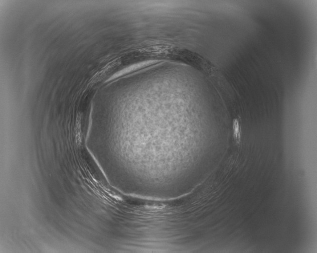 X0000085801203200703301449