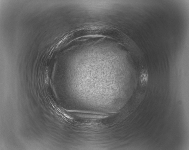 X0000085801204200703301449