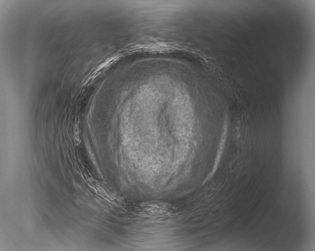 X0000085801205200703301449