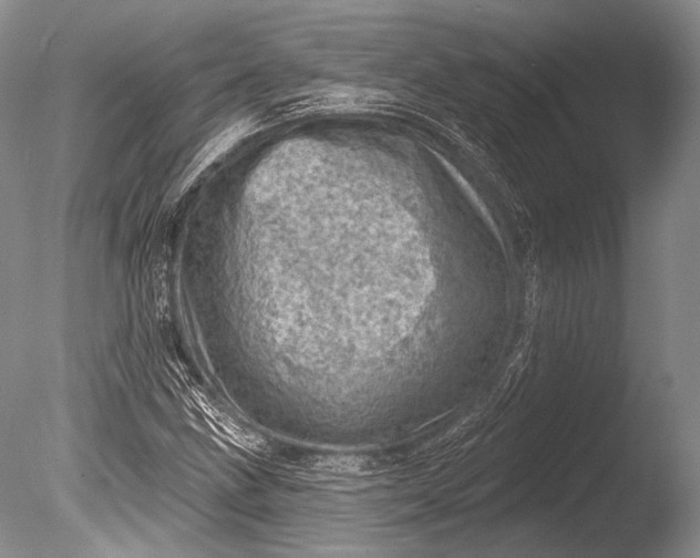 X0000085801211200703301449