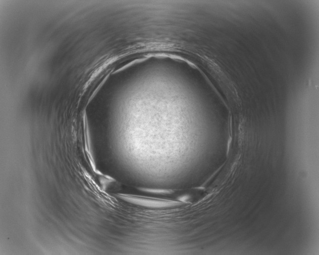 X0000085801212200703301449