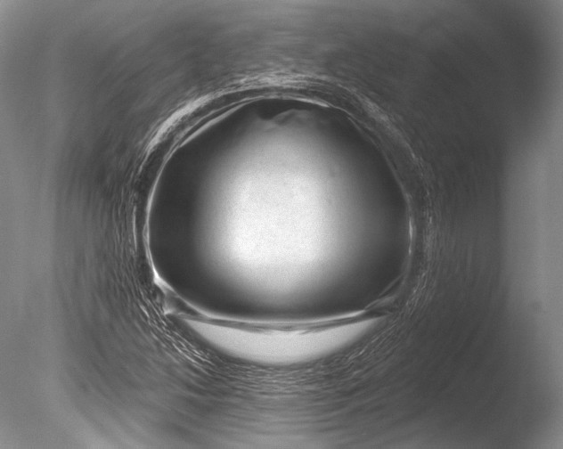 X0000085801214200703301449