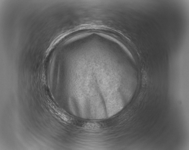 X0000085801215200703301449