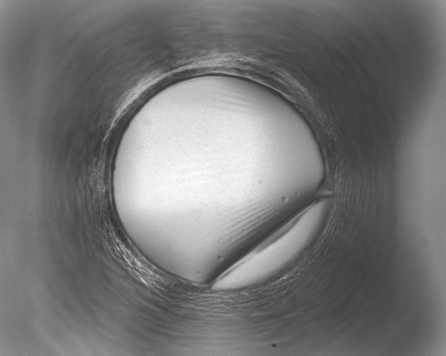 X0000085801216200703301449